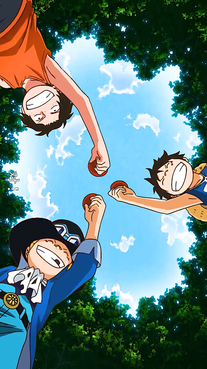 海贼王海贼王最强铁管三兄弟萨博艾斯路飞