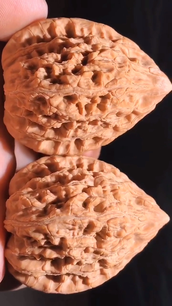 文玩核桃#鸭嘴兽