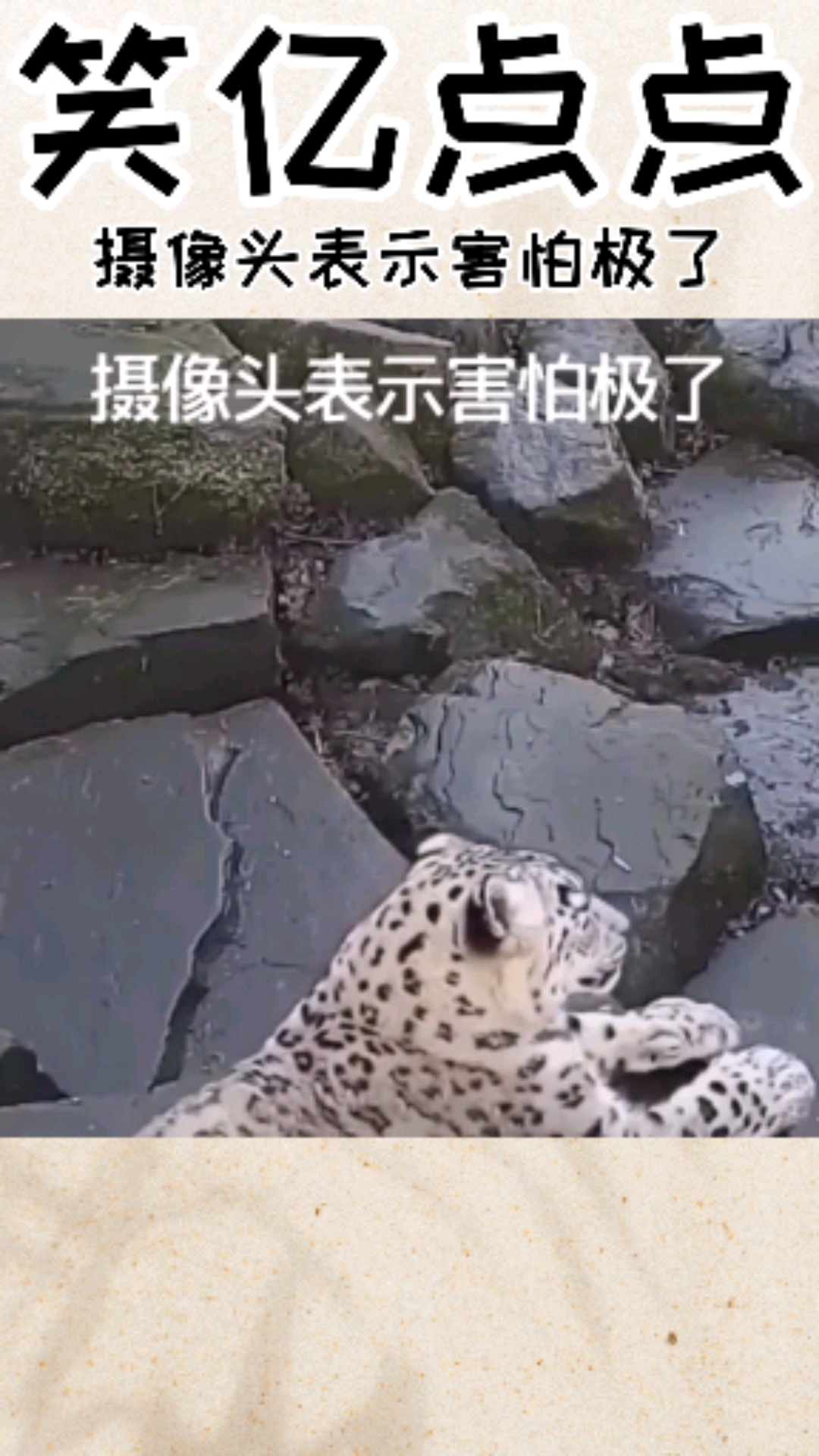 搞笑视频#摄像头表示害怕极了