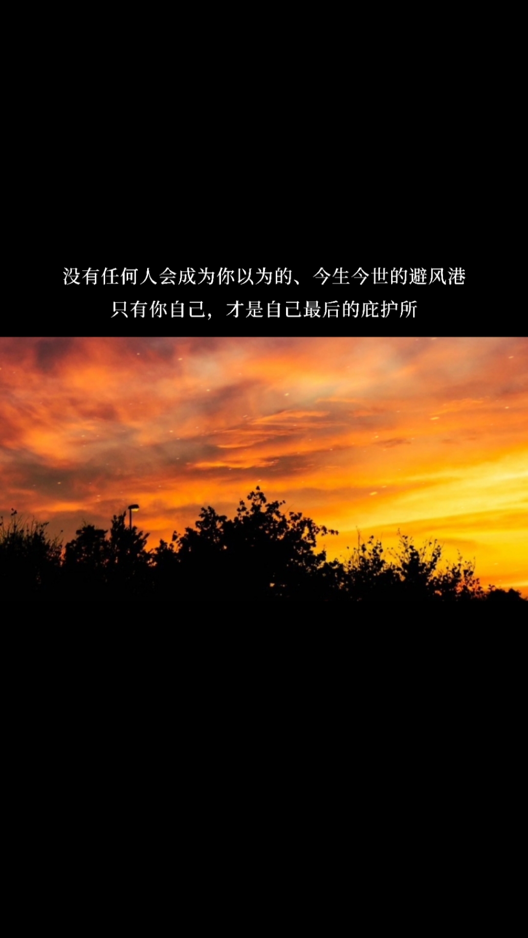 度小视文案#没有任何人会成为你以为的,今生今世的避风港,只有你准汉