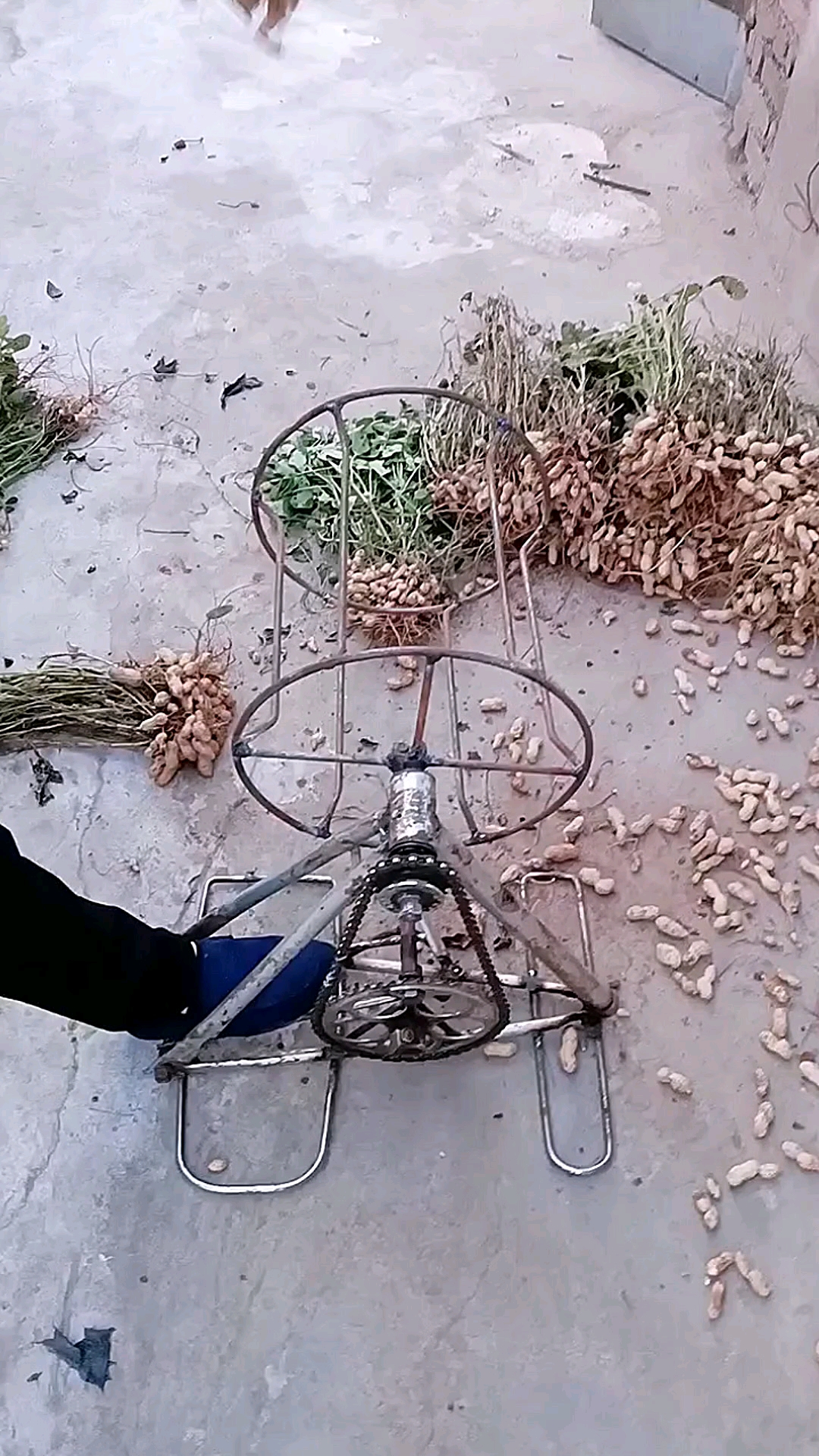 摘花生神器,以后再也不用手摘花生了