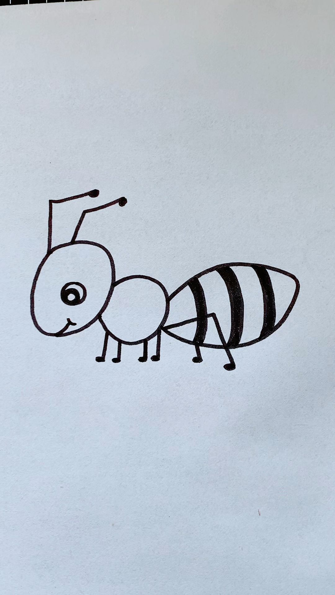 小蚂蚁的简笔画 简单图片