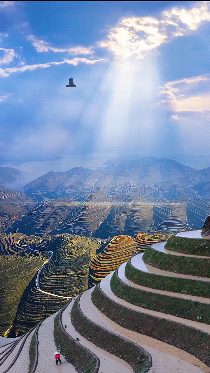 也是人类改造自然的有力证明