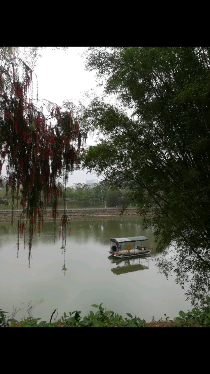 记录生活#风悠悠,浪悠悠,一条小船江中游