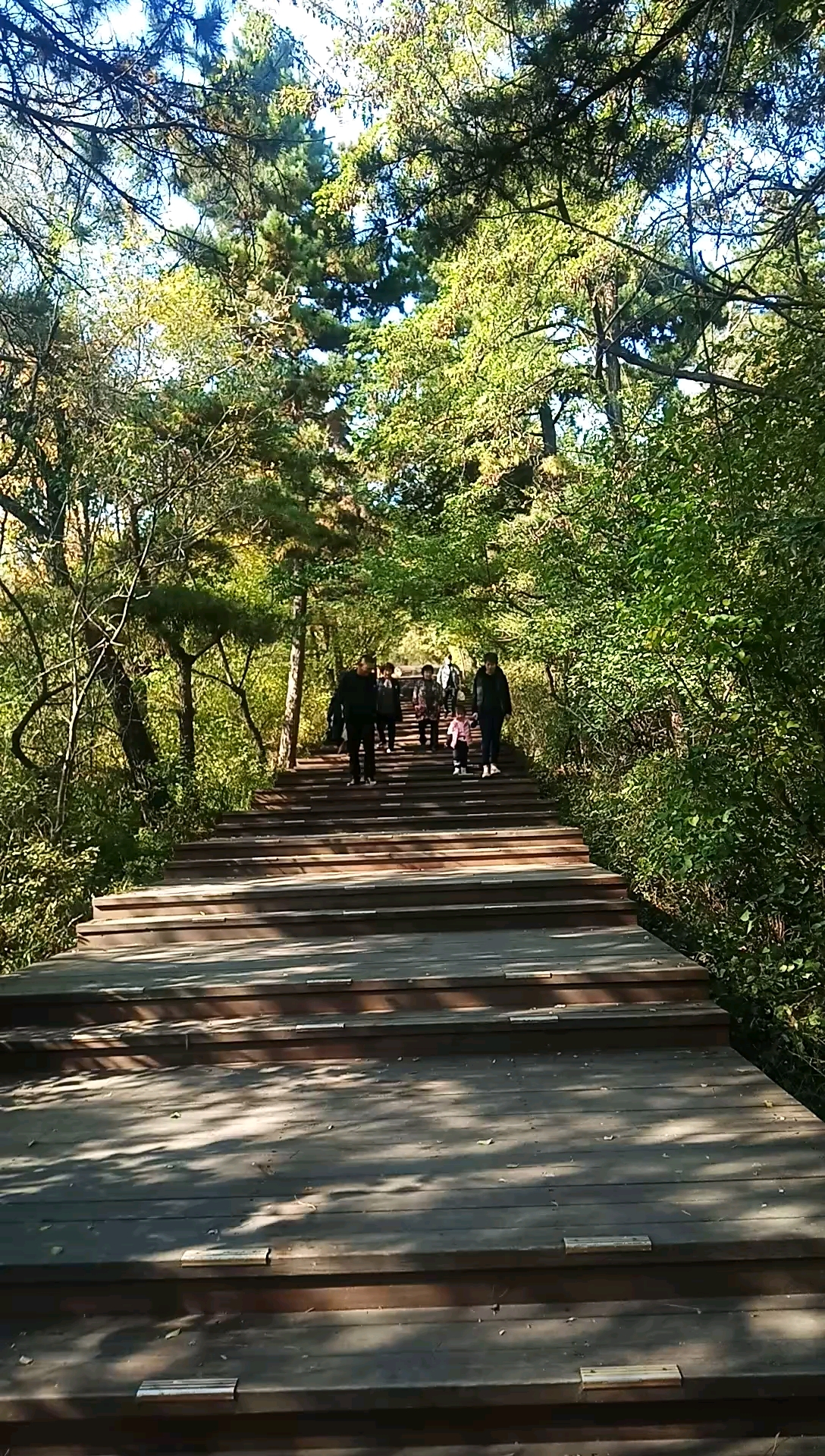 音為有你延邊州帽兒山旅遊景區