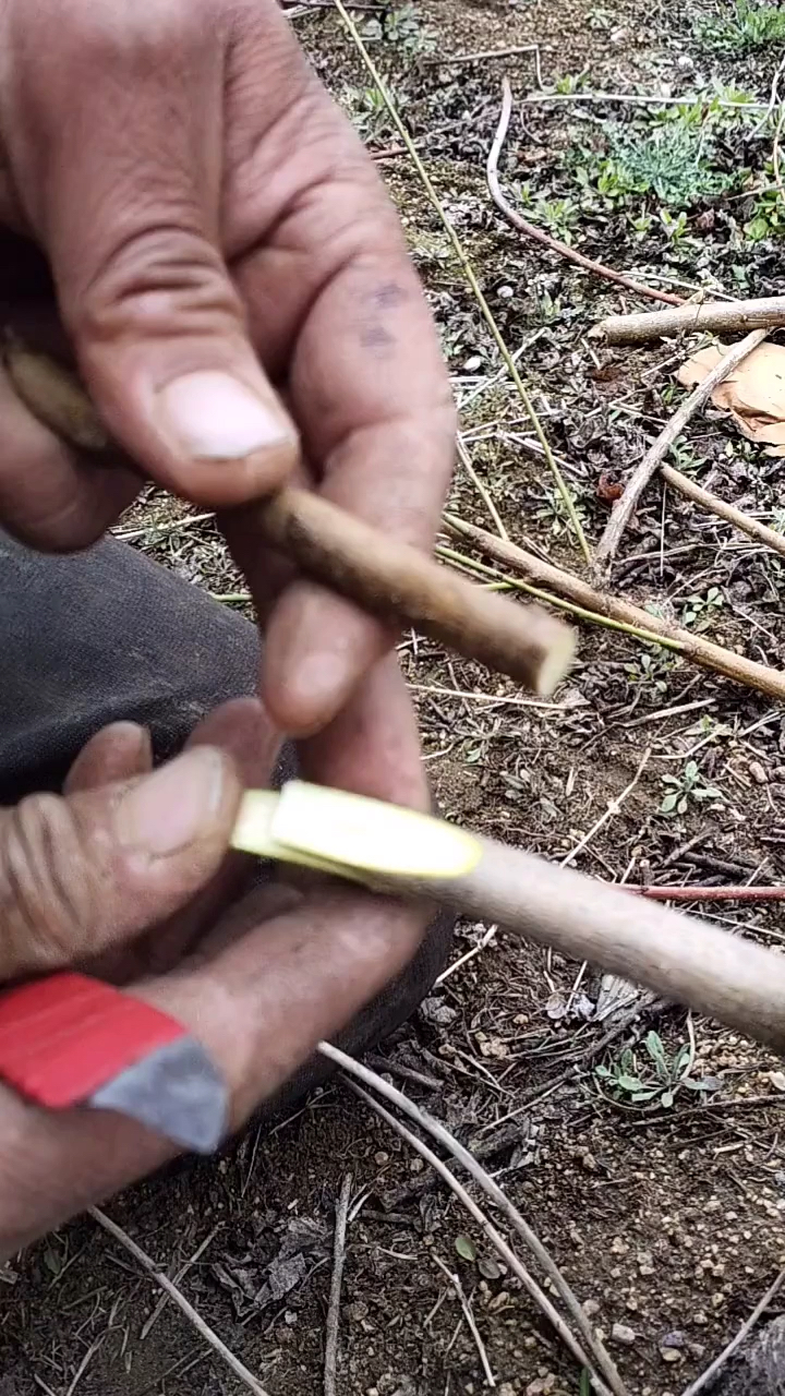 嫁接技术#果树舌接,看看啥叫劳动人民的手