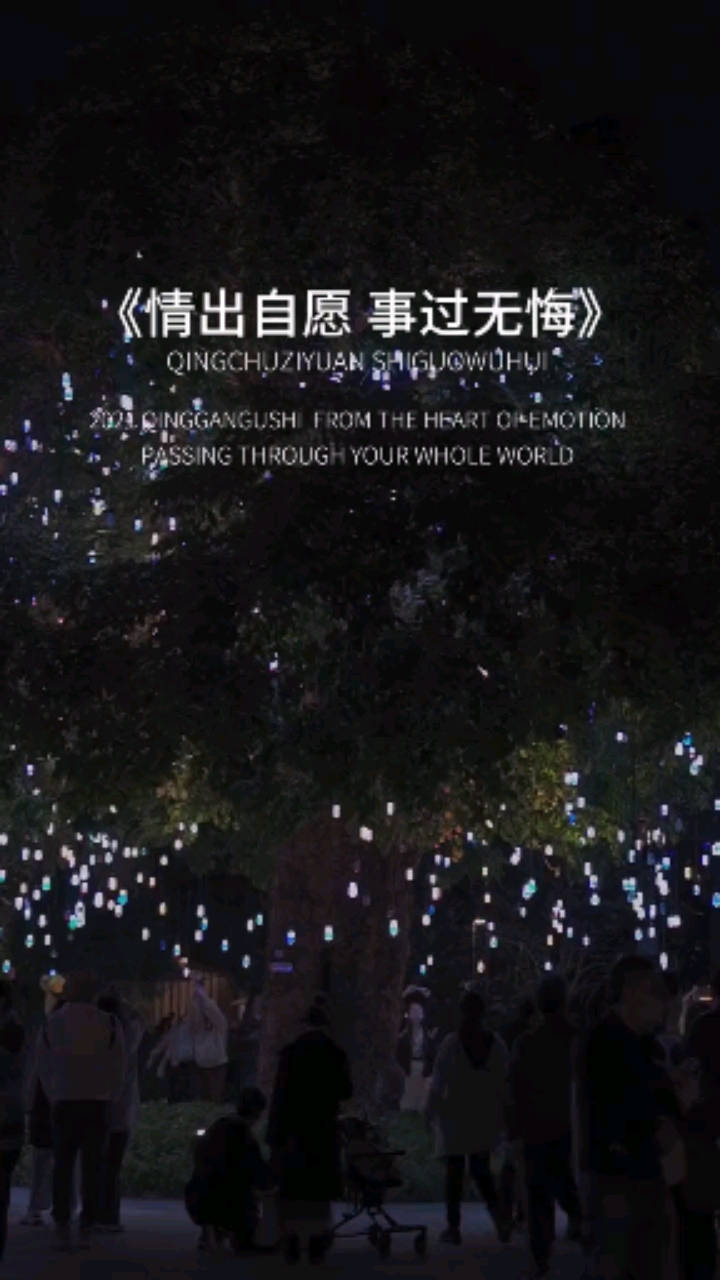 扎心情感语录#情出自愿,事过无悔