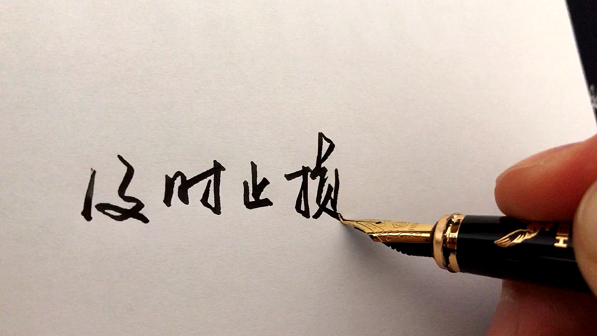 手写文字#及时止损