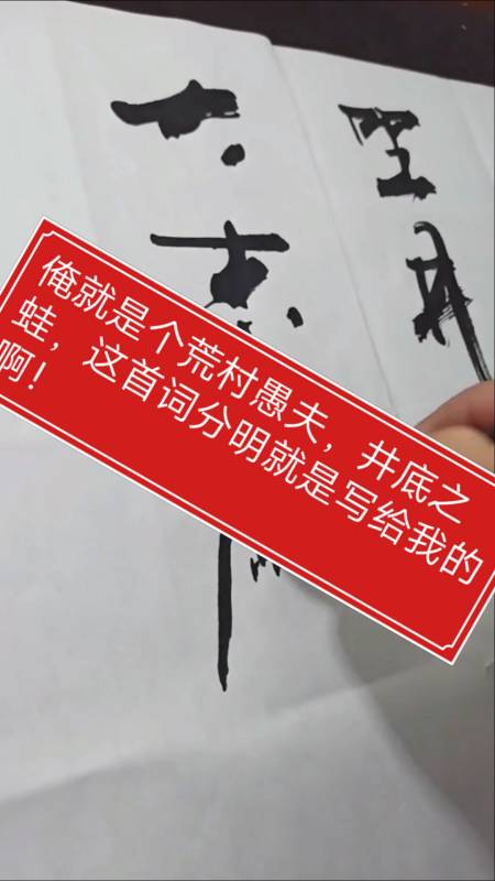 自嘲#张增亮磐石体书法-全民小视频