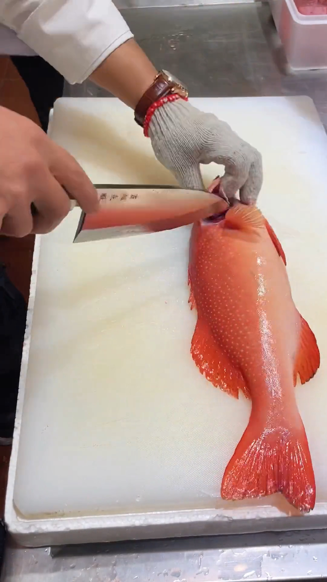 东星斑刺身姿造!