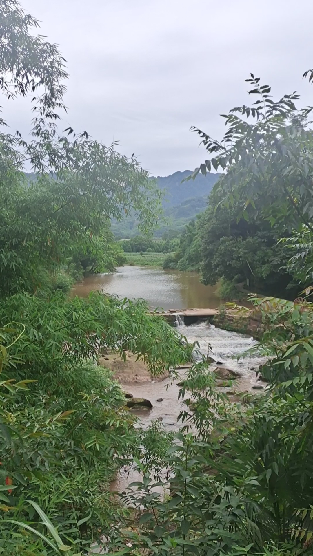 雅安市雨城区晏场镇图片