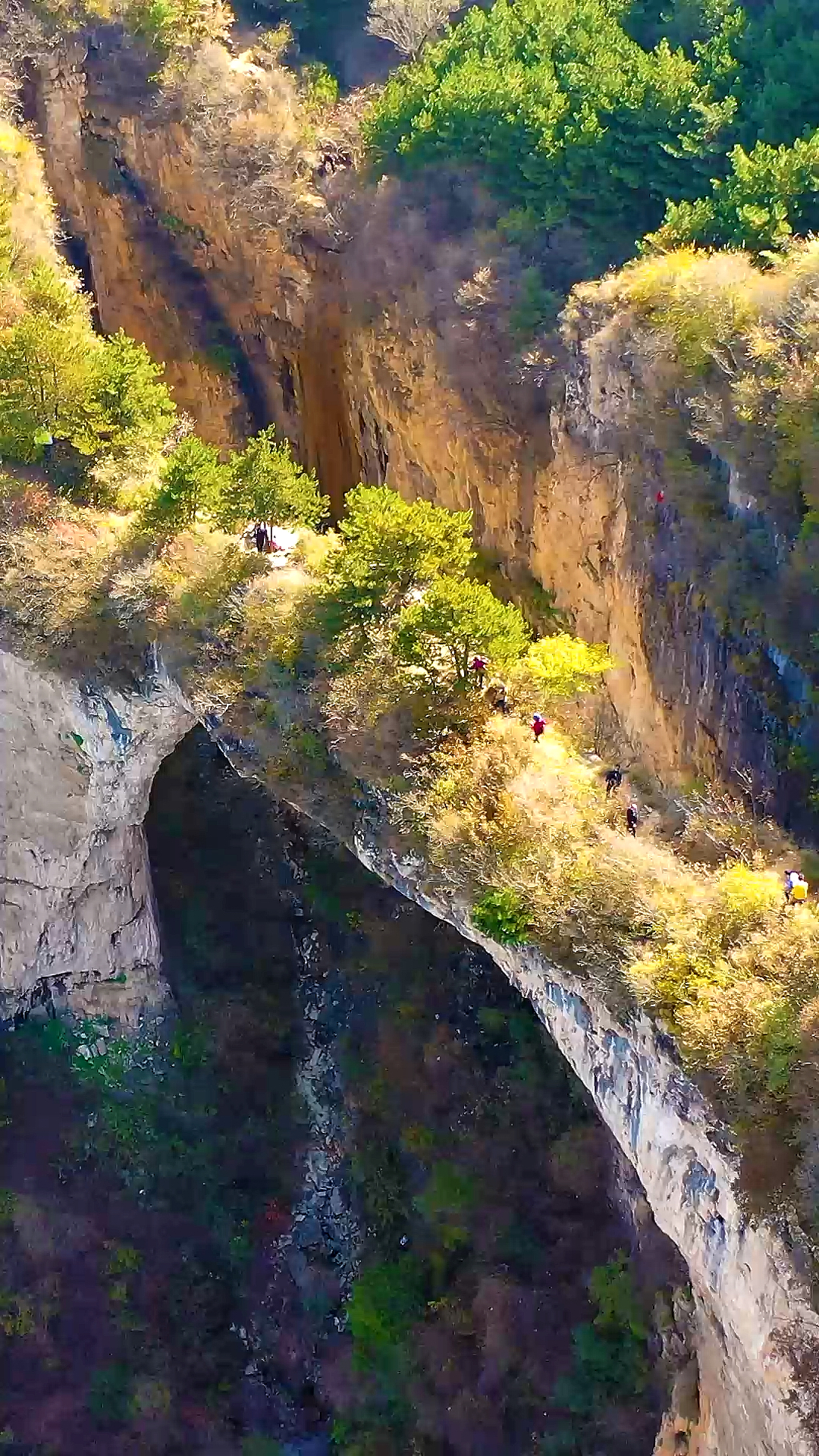 旅游进行时#太行山鹅屋天生桥跨度50米,高200米,宽5米,是北方地区最