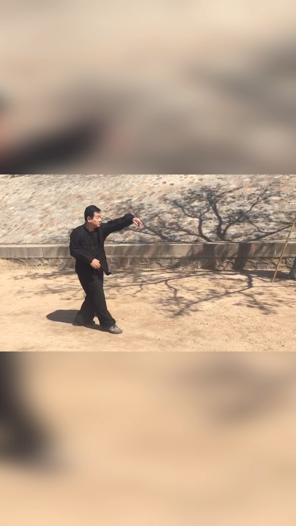 通背拳张喆五行通臂拳传人张春裕弟子郑荣庆演练连环拍掌式