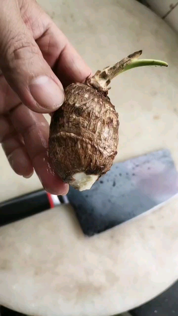 发芽的毛芋头可以这样去皮,非常简单,一看就会