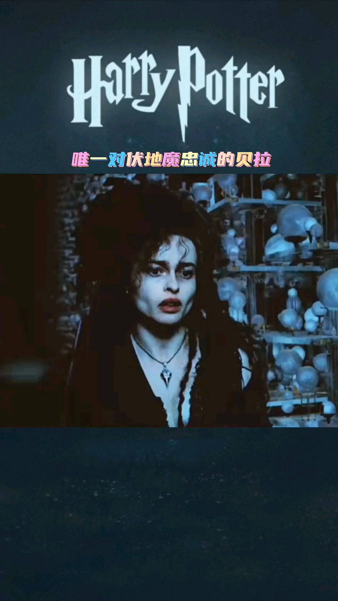 哈利波特你觉得贝拉对伏地魔是爱吗