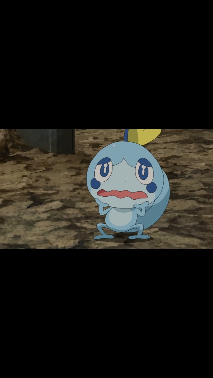 动漫##精灵宝可梦#可可爱爱泪眼晰#宝可梦旅途#相会