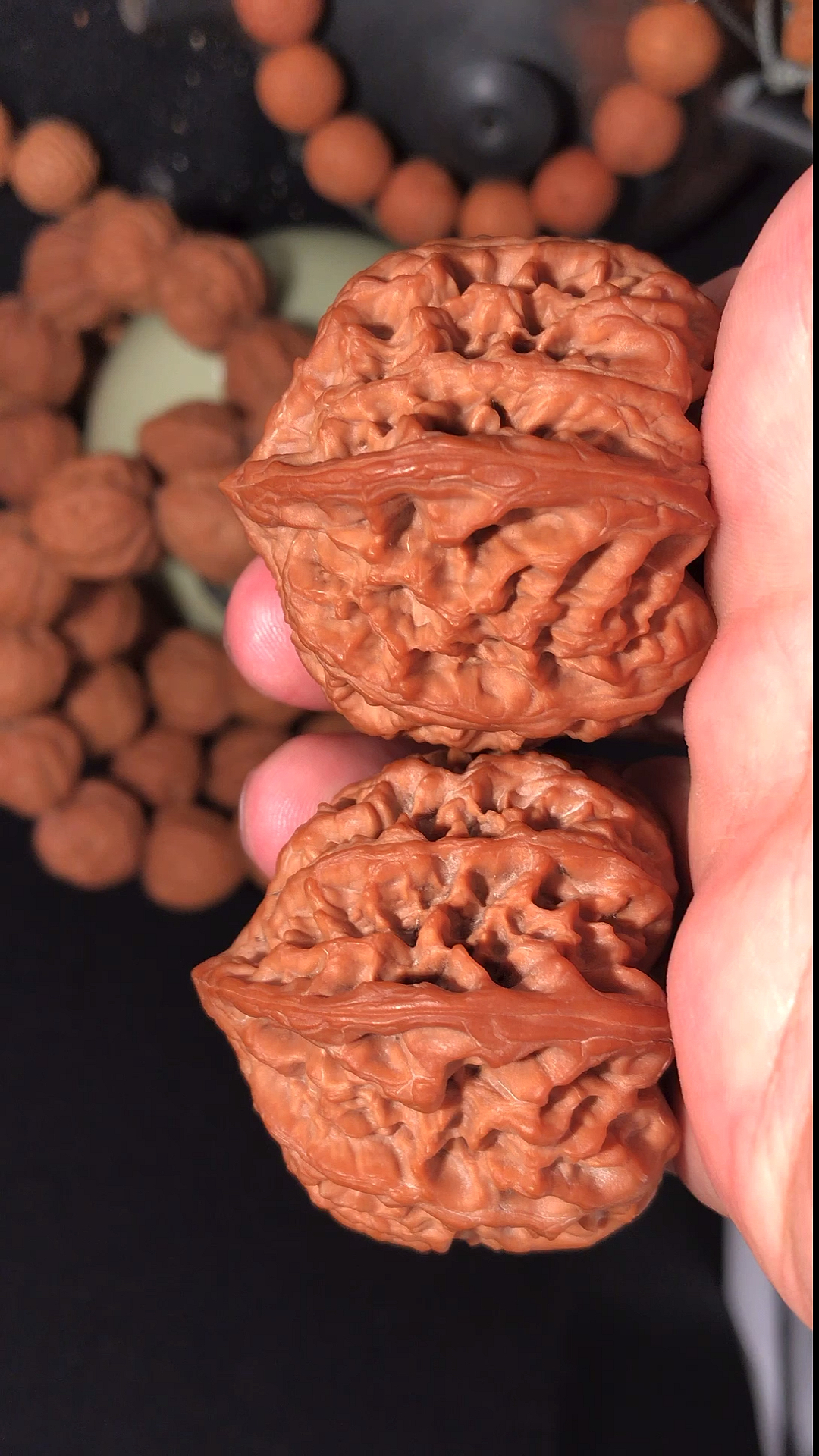 文玩核桃#蜡皮红皮,后期走色漂亮