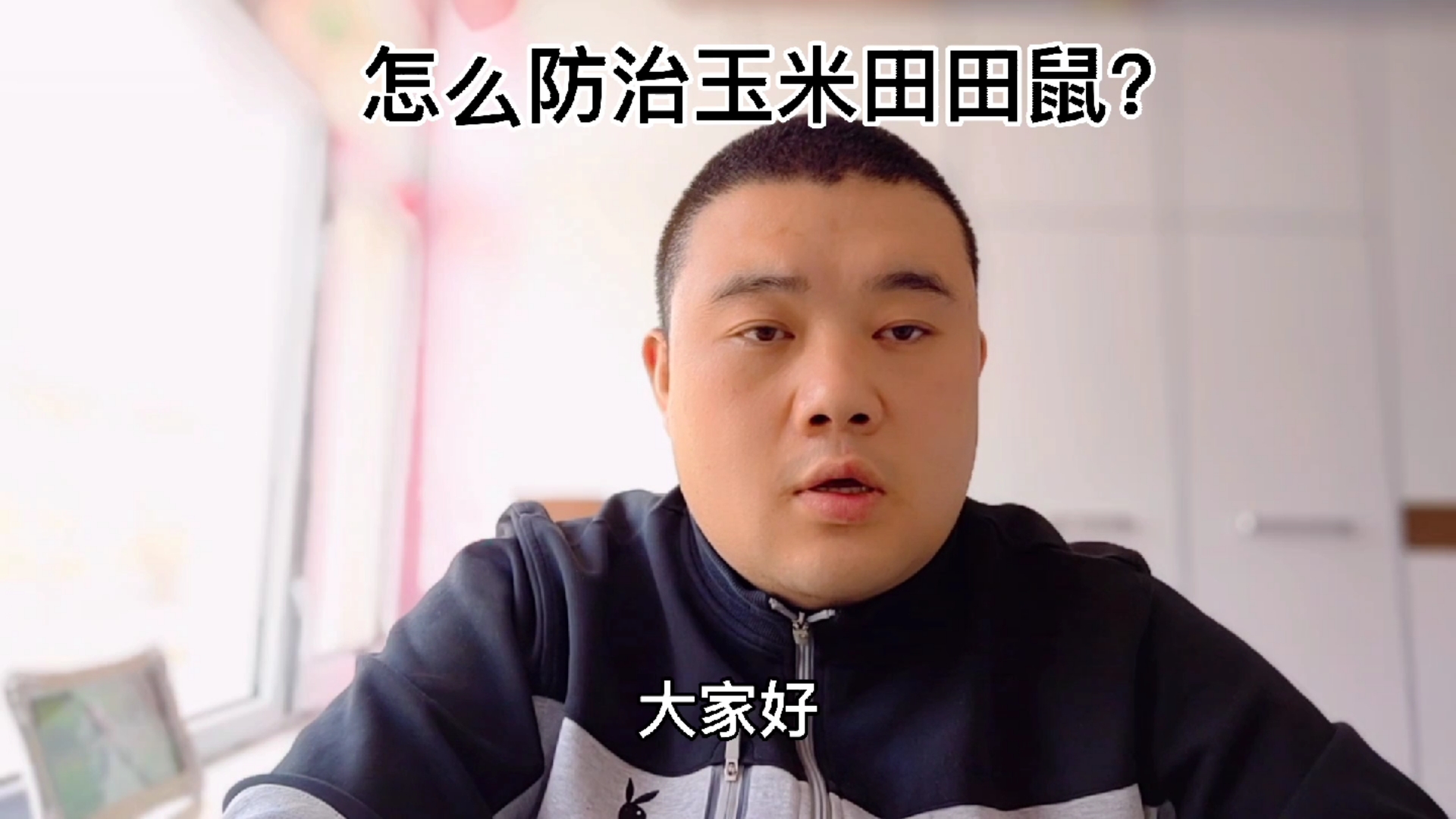 小白说玉米:玉米地田鼠猖獗怎么办?