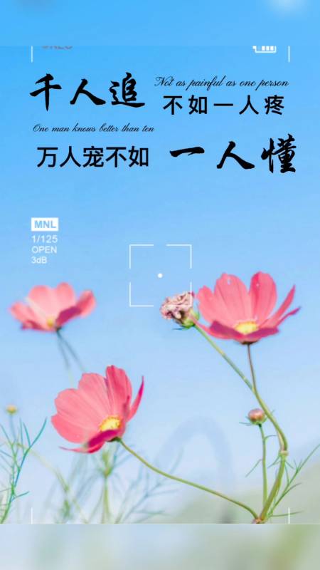 千人追不如一人疼,万人宠不如一人懂.