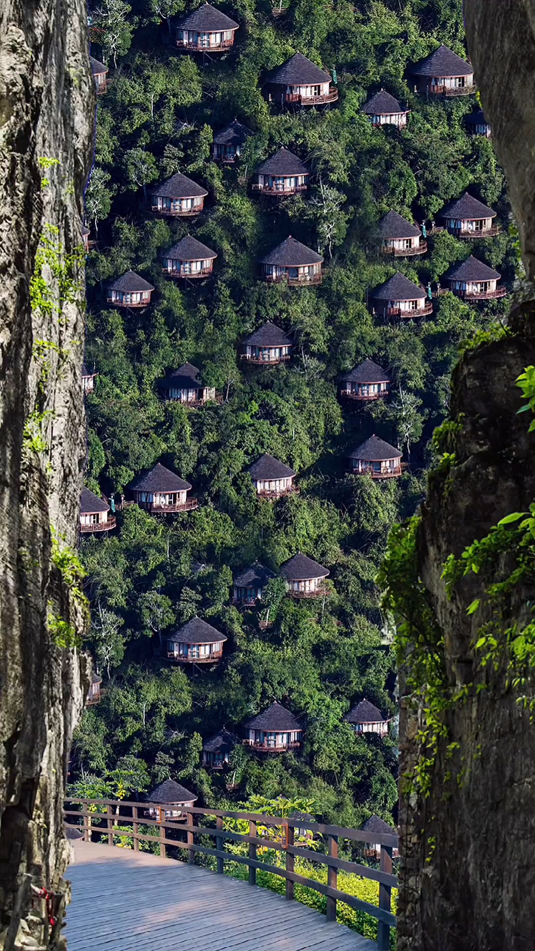 非诚勿扰2的取景地海南三亚鸟巢酒店隐藏在原始森林里酒店你想不想来