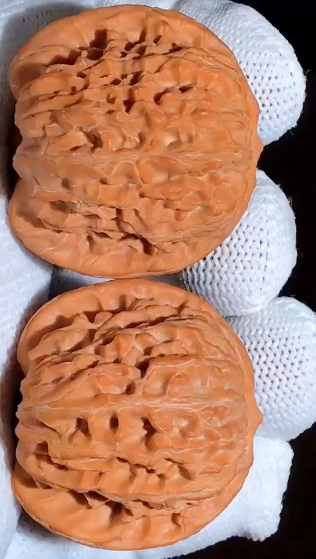 文玩核桃#树头货,血麒麟