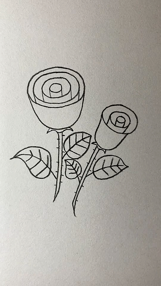 简笔画用圈圈画两朵玫瑰花