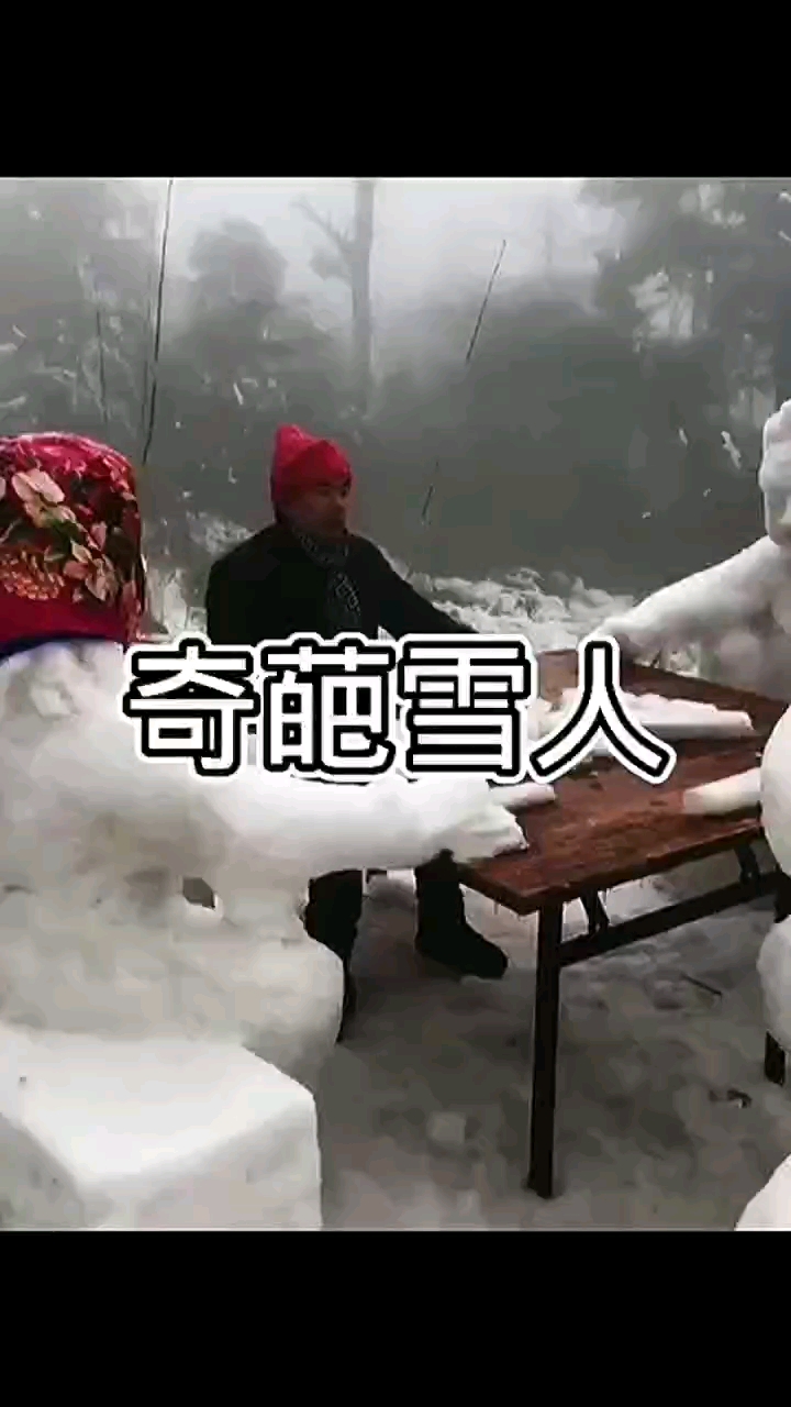 搞笑段子东北下雪了各种花式玩法