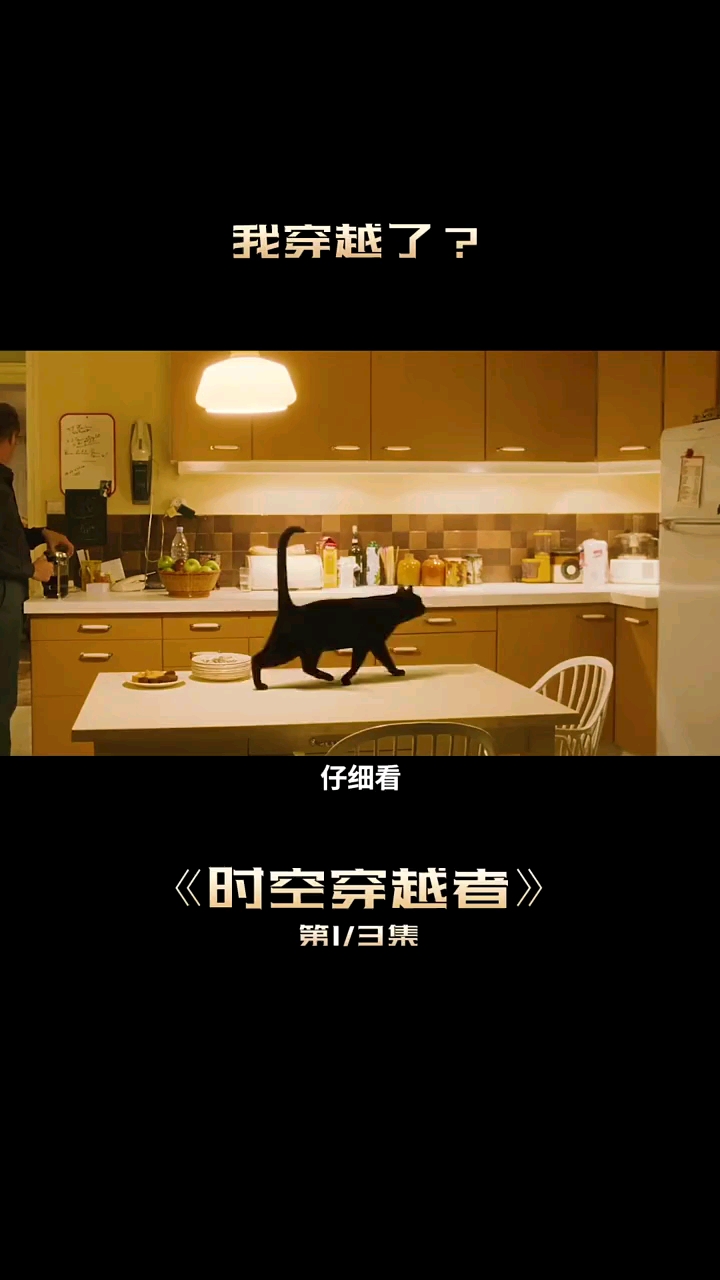 男人穿越到古代,运用孙子兵法,成为了国王《时空穿越者》