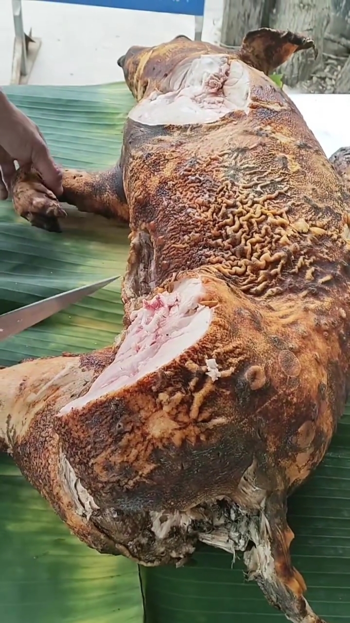 美食#农村的火烧猪.嘎嘎香-度小视