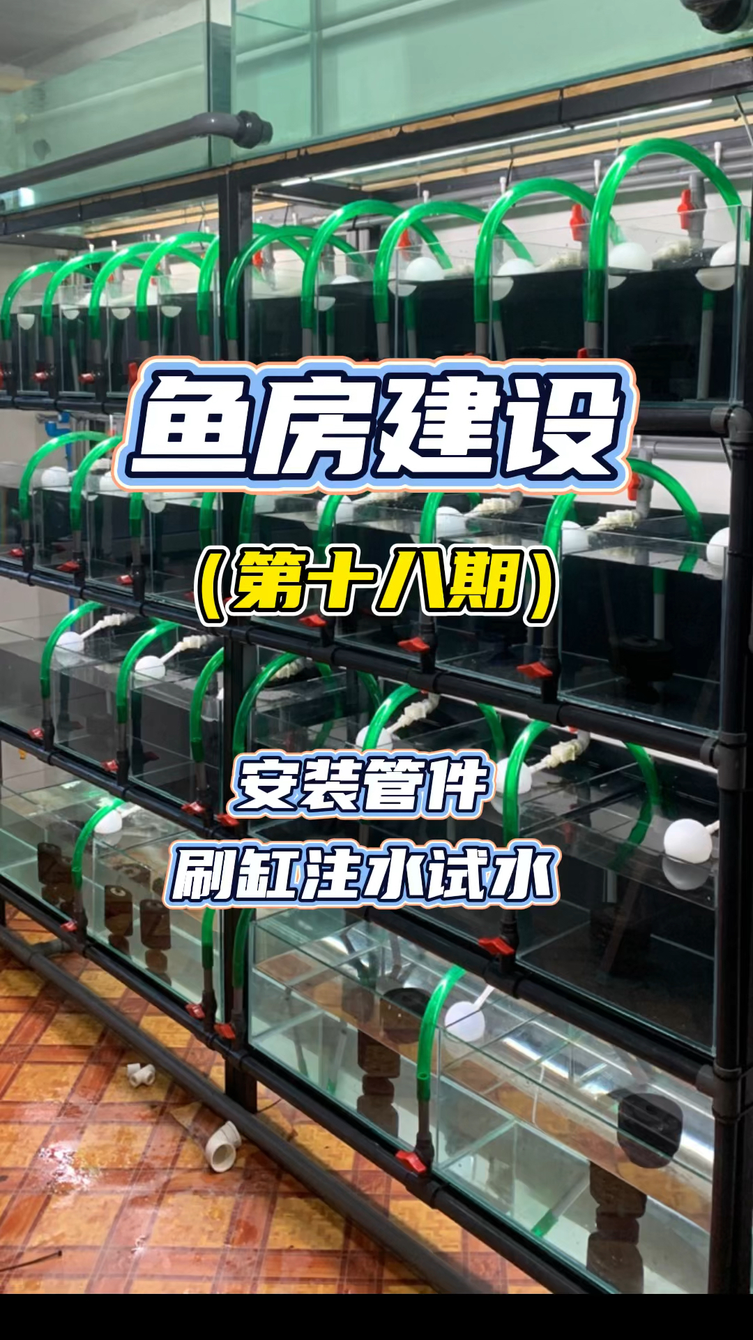 鱼房建设(第十八期):安装管件刷缸注水试水#观赏鱼#养鱼日记#养鱼日记