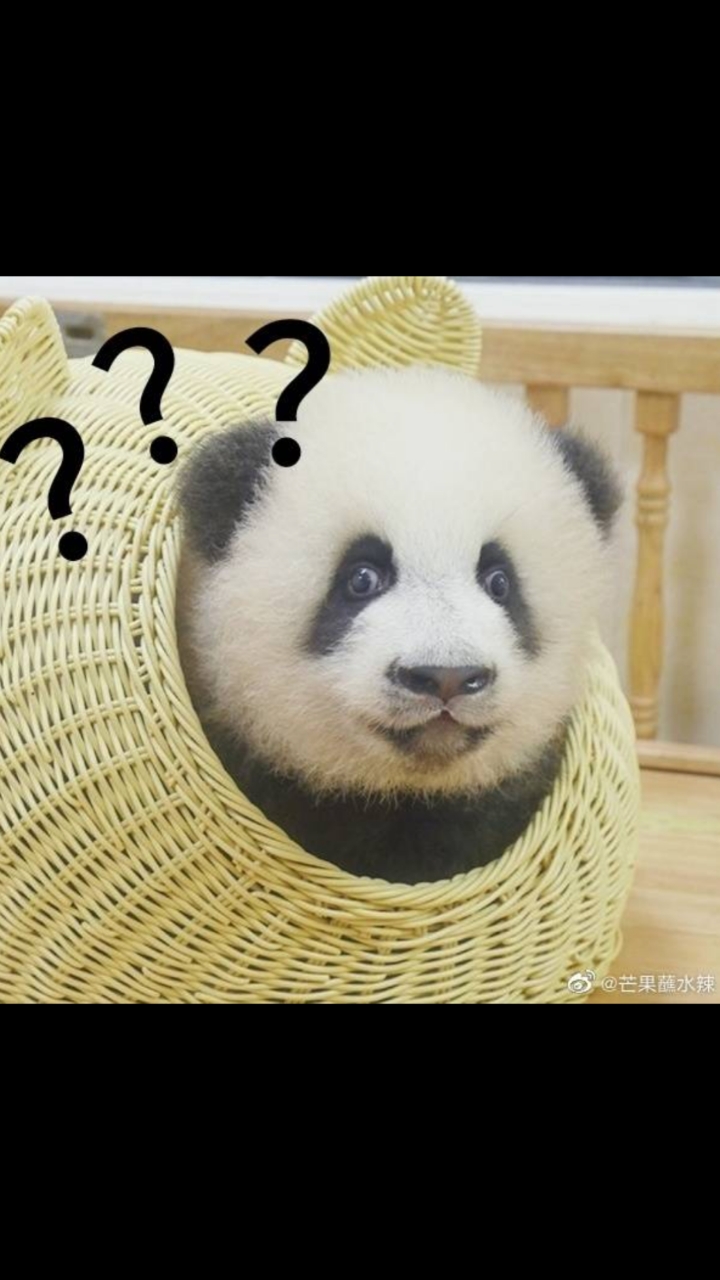 天秀不如你秀#绩憨憨本憨