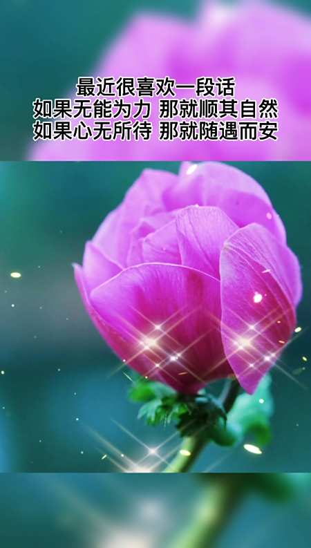 如果无能为力,那就顺其自然,如果心无所待,那就随遇而安.