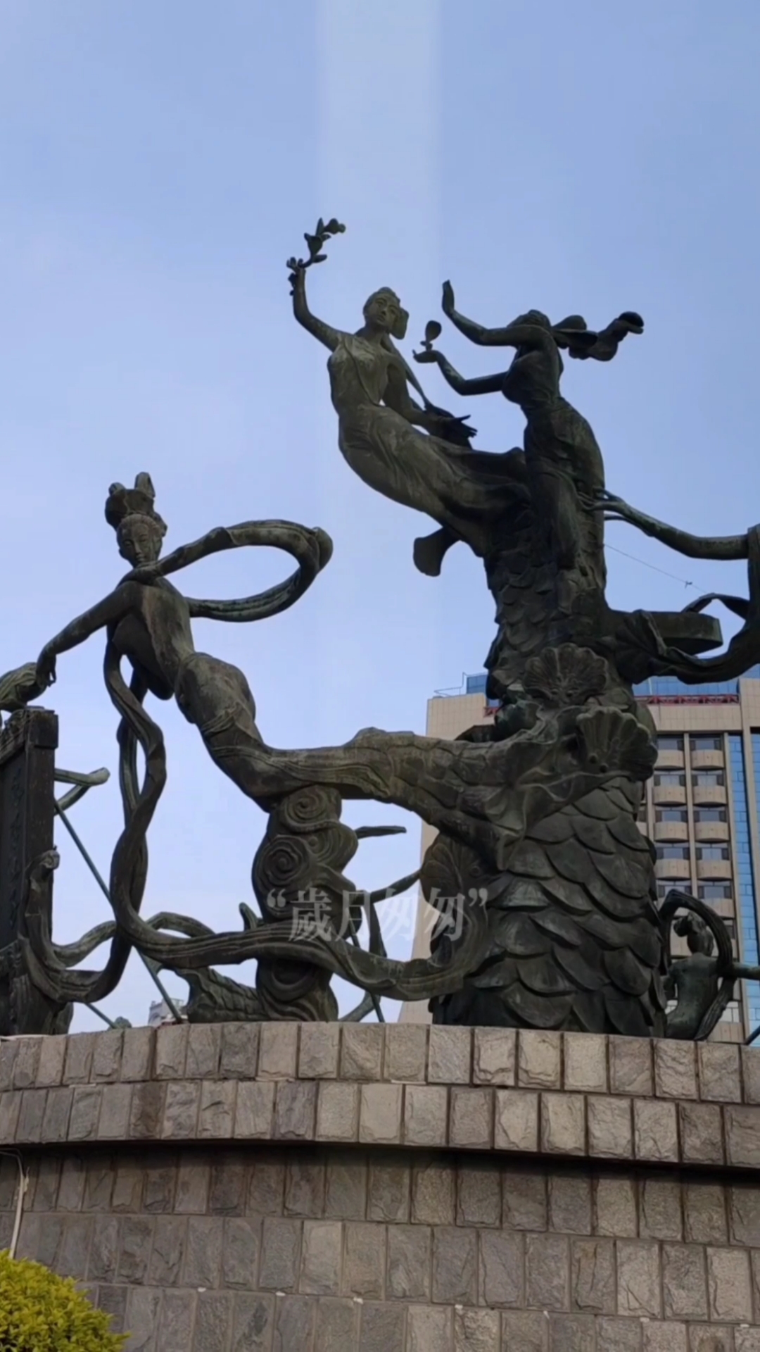 遇见最美安阳2021她们不是七仙女而是银杏仙子岁月匆匆您知道关于仙子