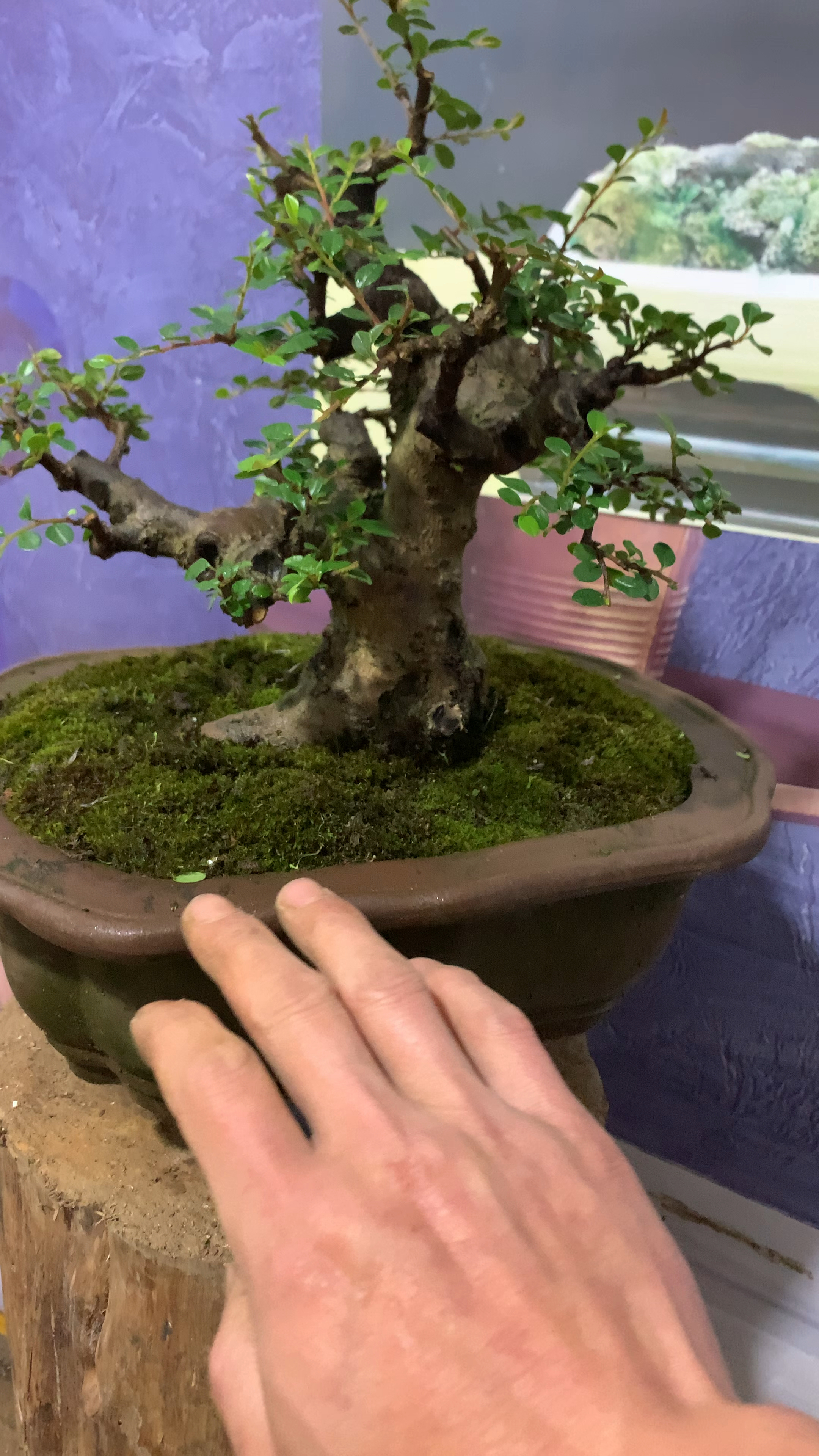 荀子矮霸喜欢双击加关注