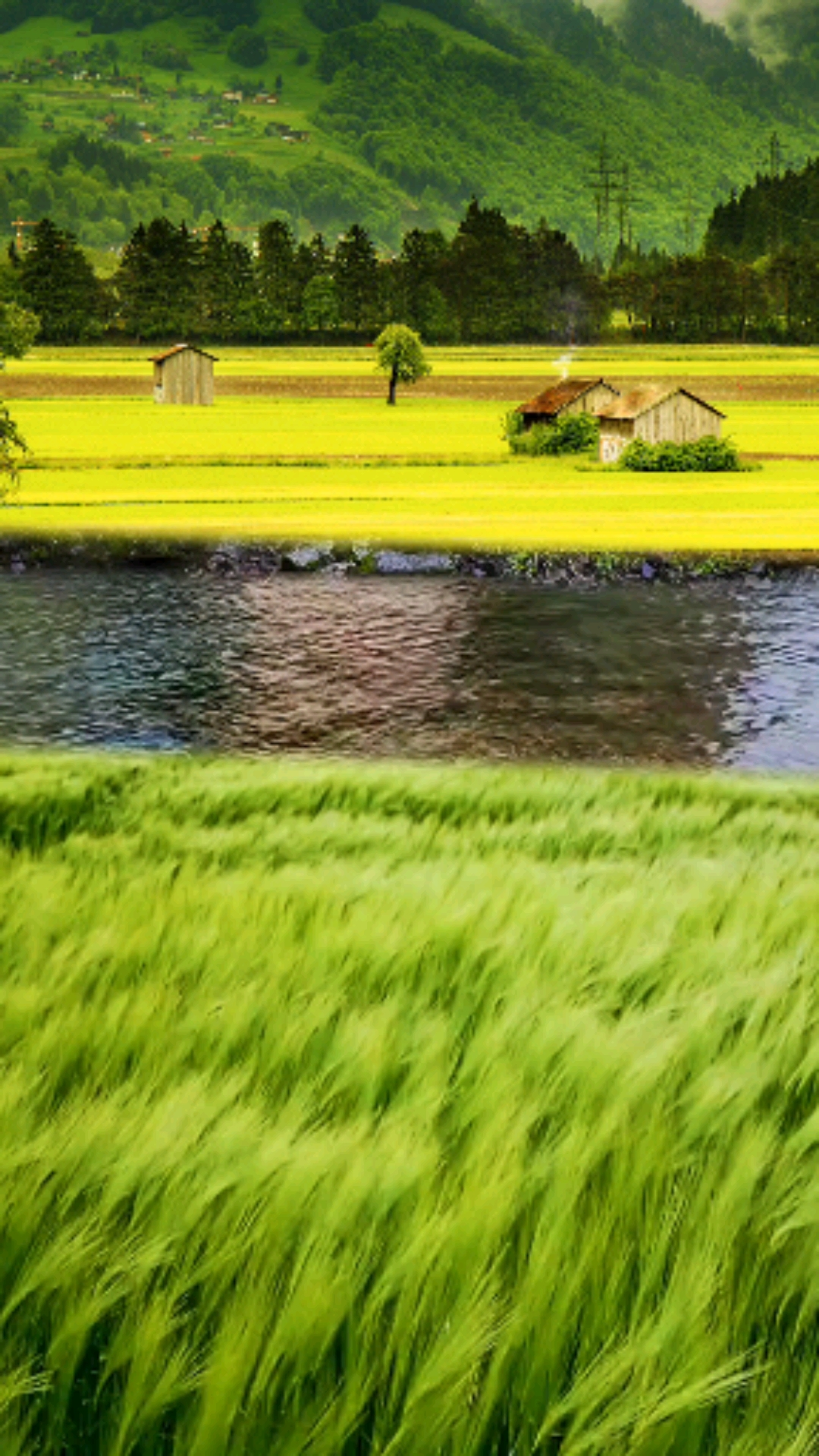 田园生活#心里住着小太阳,日子永远清透明亮