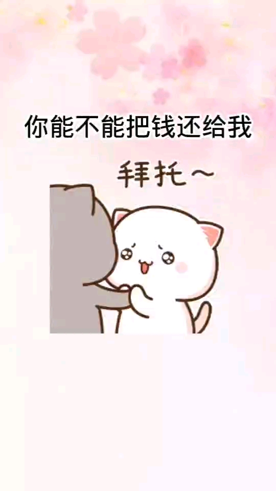 表情包你能不能把钱还给我