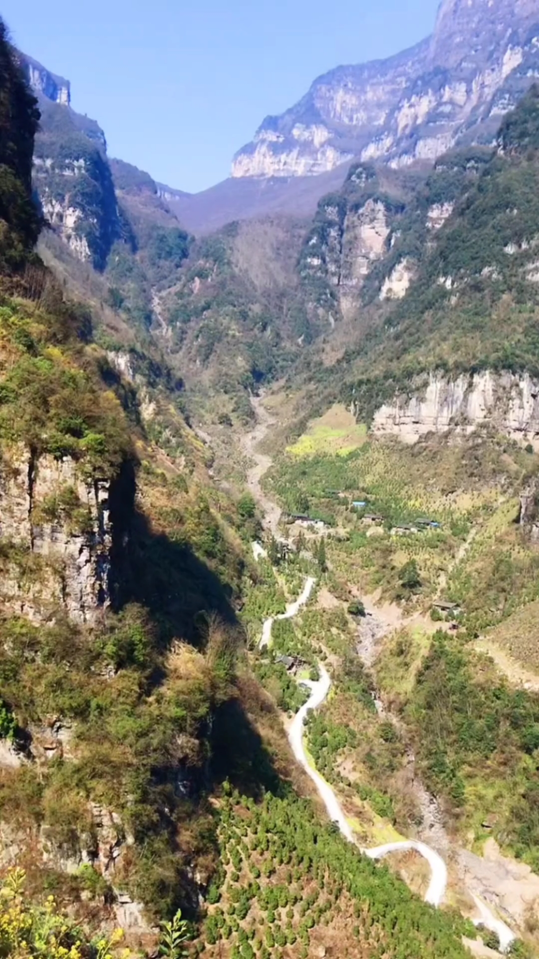 春日野餐好去处#乐山市金口河区白熊沟大瓦山观景台!山顶美景!