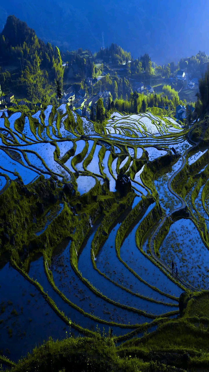 乡村美景#你在意什么,什么就会折磨你,有些东西,得之我幸,失之我命.