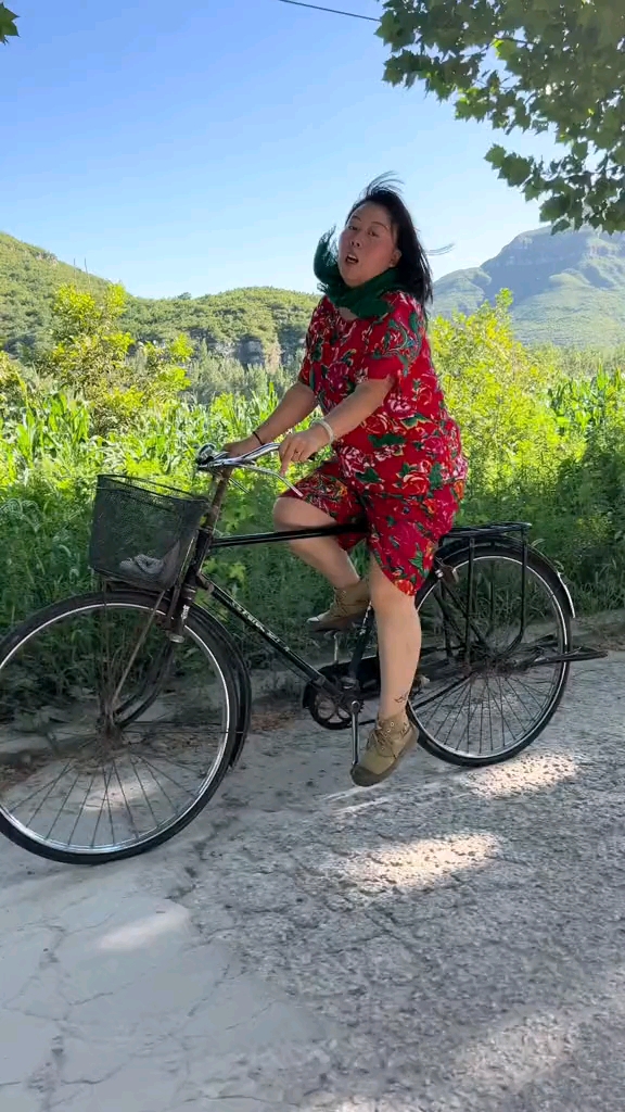 二八大杠骑出了汗血宝马的气势