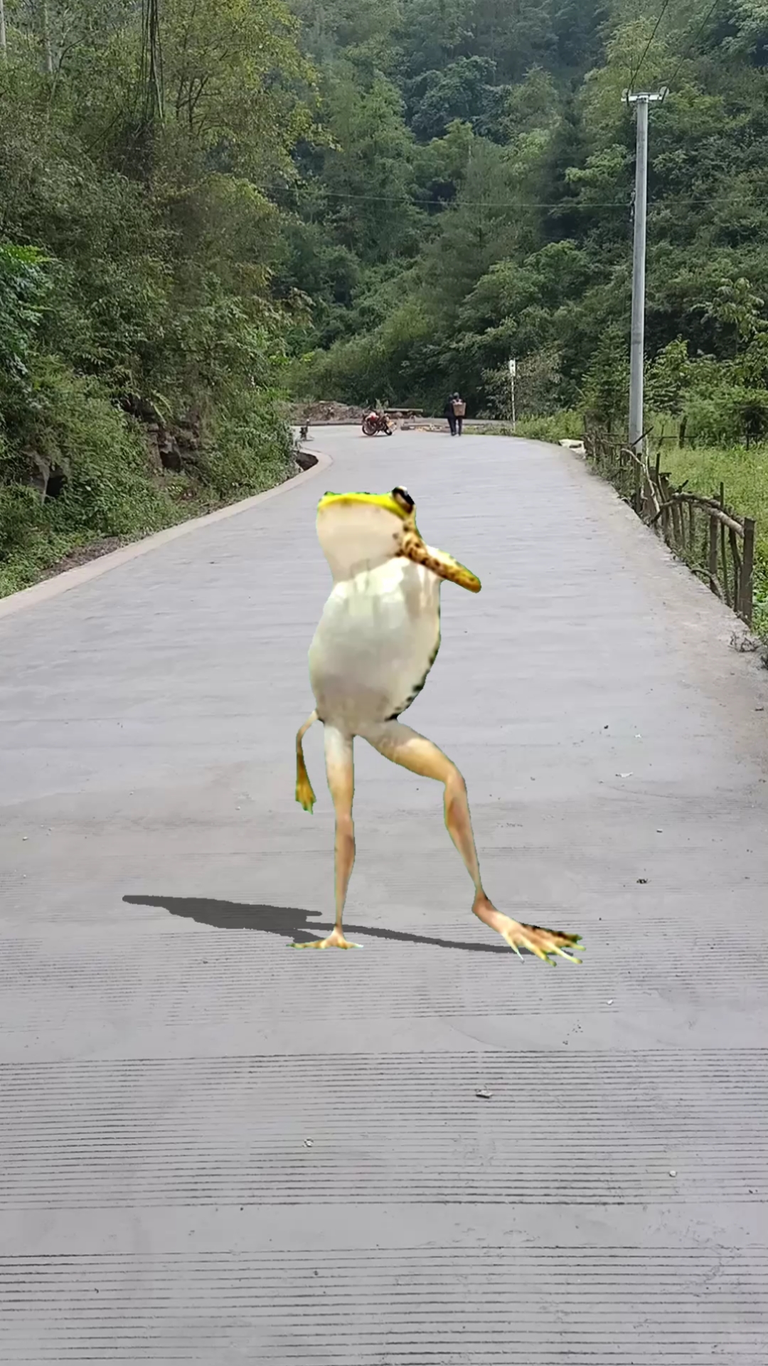 青蛙舞蹈#传说中的青蛙王子,拥有优美的舞姿,苗条的身材