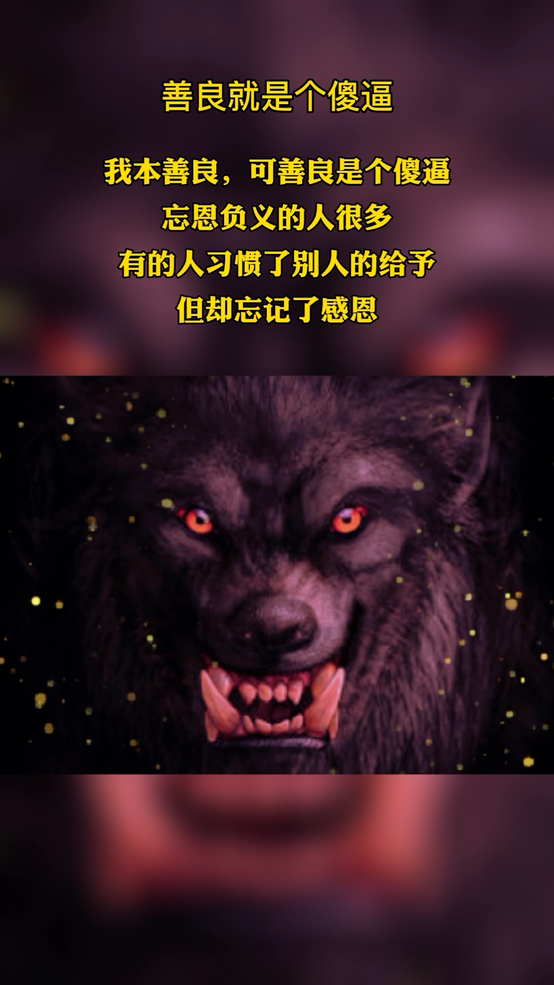 后,你就明白,人不能太善良,把善良留给那些值得的人,别把真心喂了狗