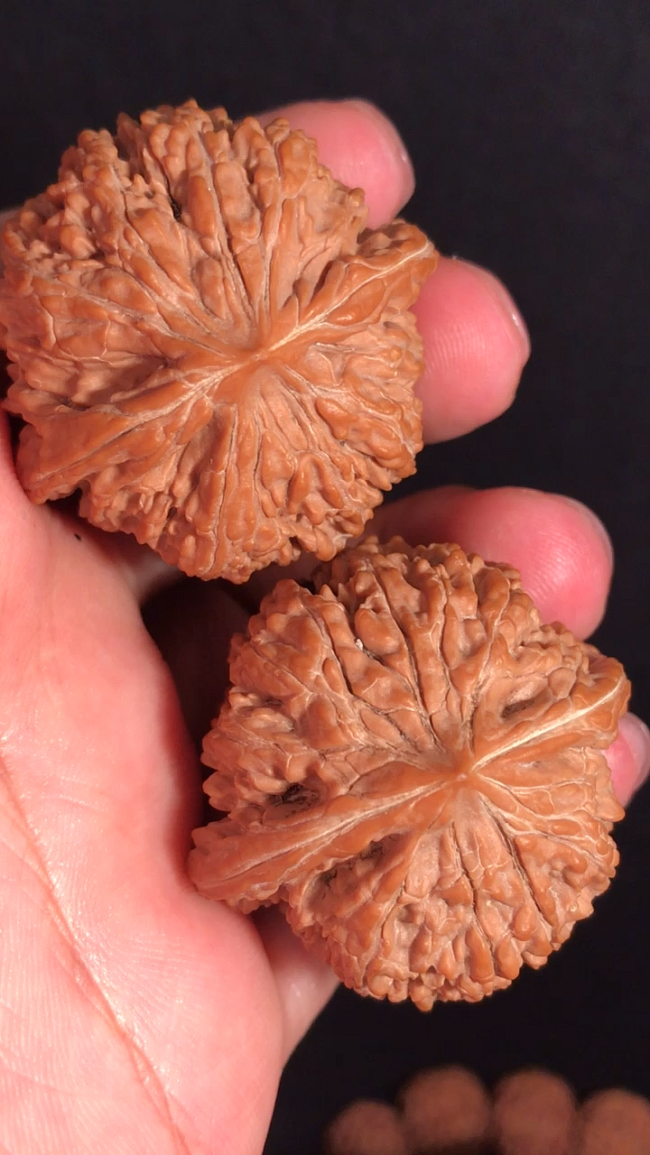 文玩核桃#137狮子头