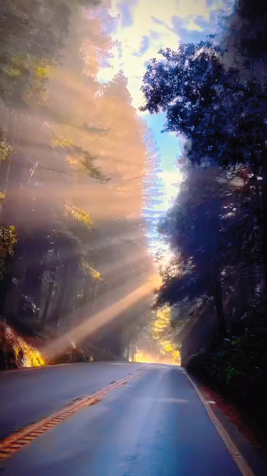 在我的世界里有两种最耀眼的光芒,一种是太阳,一种是你#多肉植物