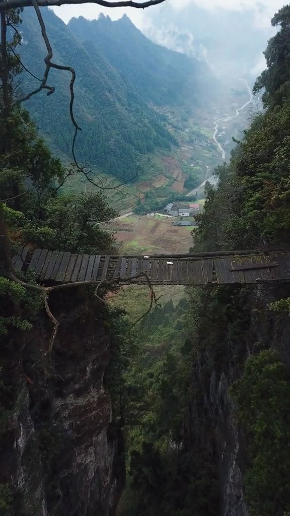 贵州深山发现一座独木桥据说多年没人敢过看桥上居然有两个矿泉水瓶