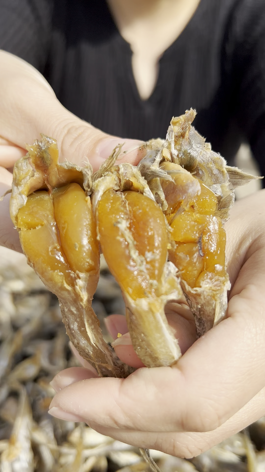 #美食#渤海湾本地的油光鱼,又叫狗光鱼,个个满籽,煎炸政烤都好吃-度小