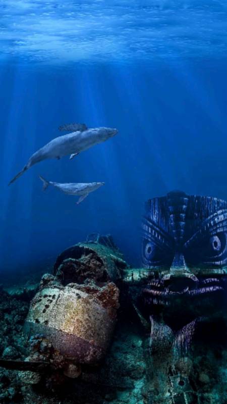 大自然美景#神秘海底,惊现一架锈迹斑斑的飞机和一个神秘头像.