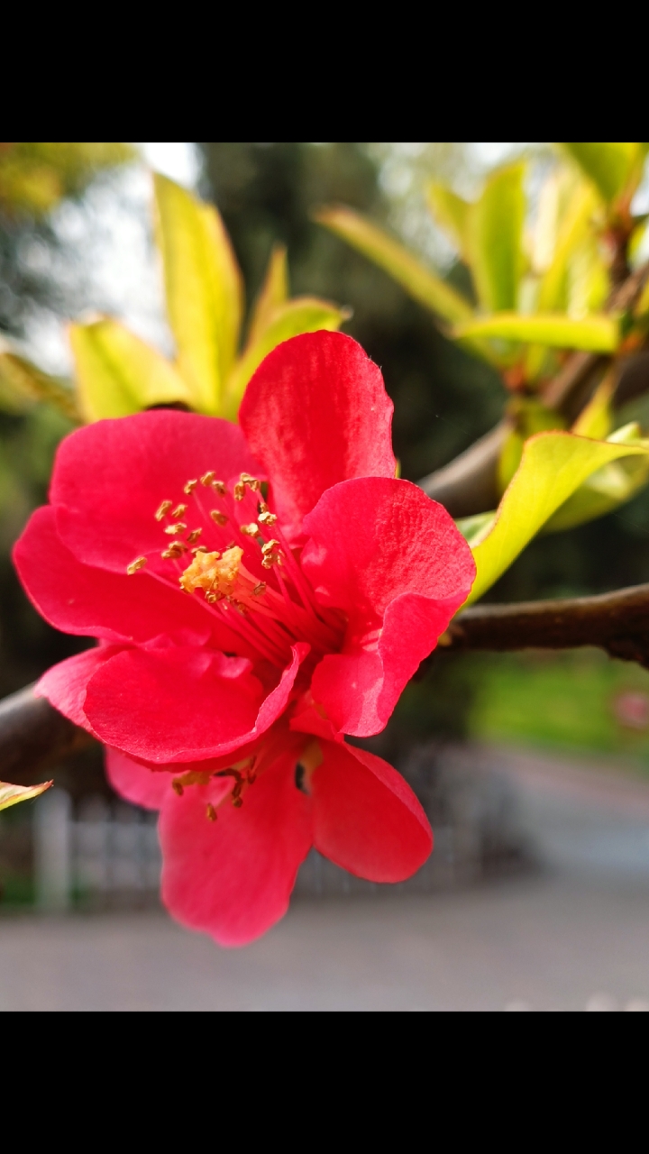 720_1280竖版 竖屏