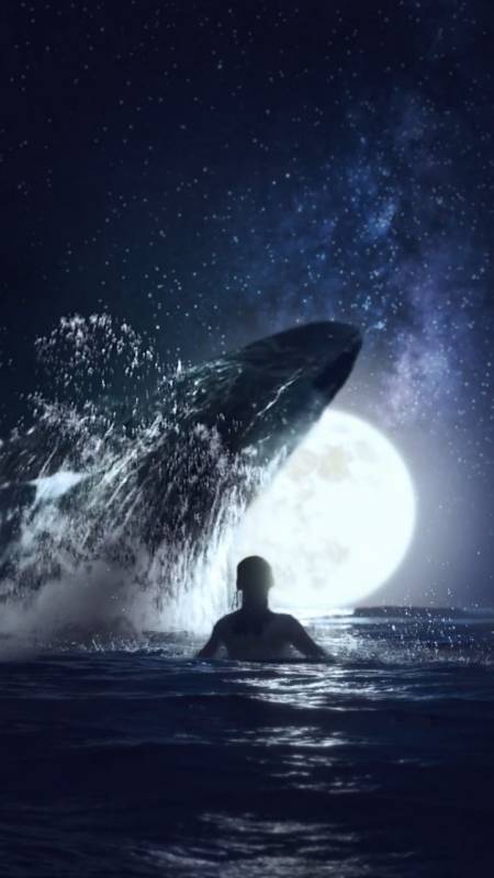 林深时见鹿,海蓝时见鲸,梦醒时却不见你