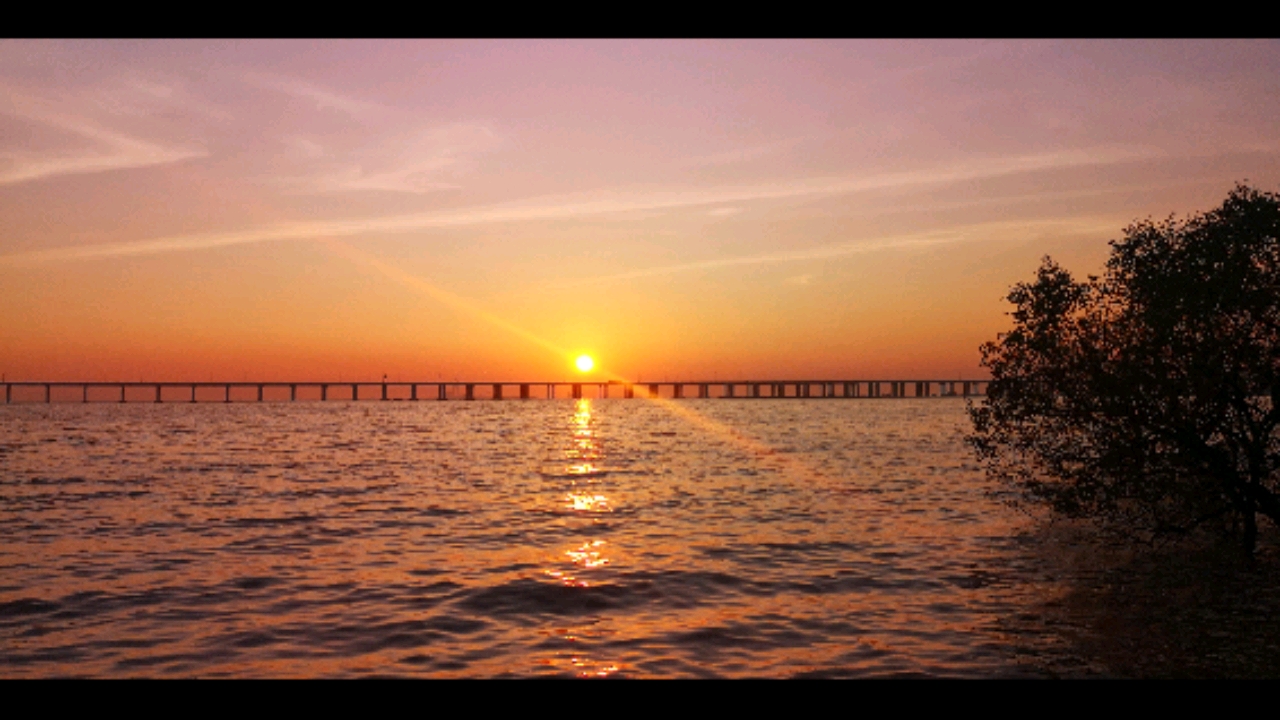 夕阳,落霞,孤鹜…是深圳西湾红树林公园的最美写照.
