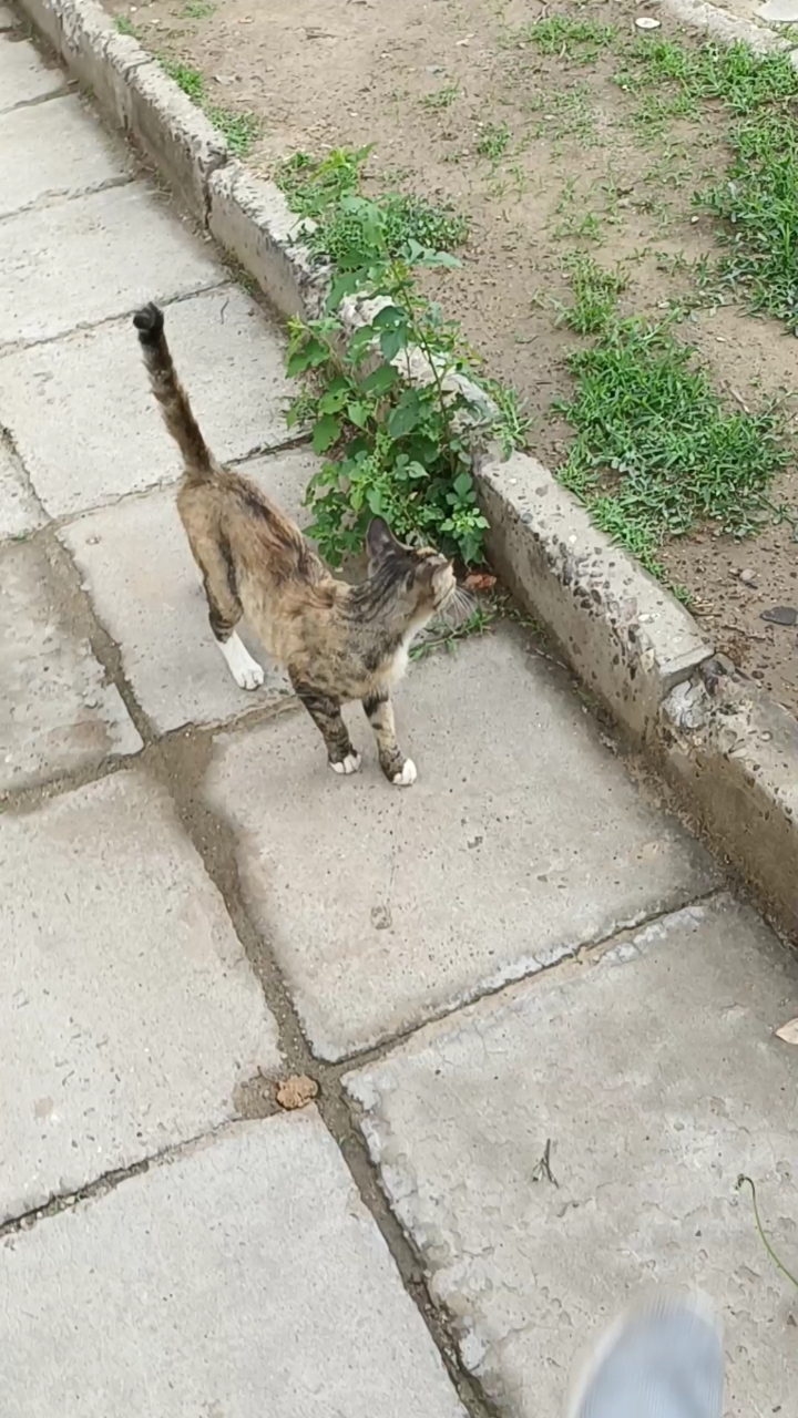 唉.#偷偷的走还跟着我